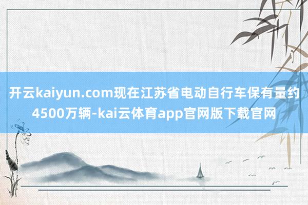 开云kaiyun.com现在江苏省电动自行车保有量约4500万辆-kai云体育app官网版下载官网