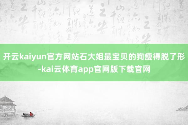 开云kaiyun官方网站石大姐最宝贝的狗瘦得脱了形-kai云体育app官网版下载官网
