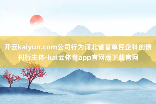 开云kaiyun.com公司行为河北省首单民企科创债刊行主体-kai云体育app官网版下载官网